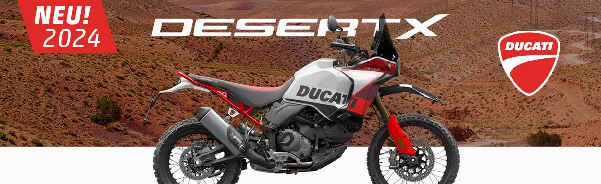 Alex Bikeshop - Ducati Desert X Rally - 2024