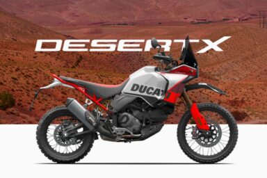 Alex Bikeshop - Ducati Desert X Rally - 2024